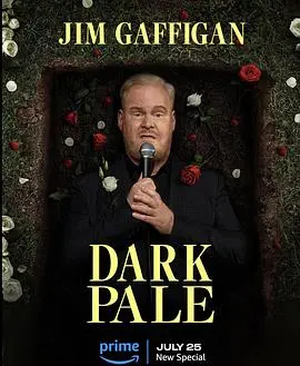 中年人的深夜自白：《吉姆·加菲根：深灰》的爆笑与心酸