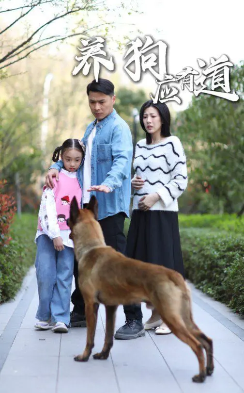 《养狗应有道》：不只是铲屎官指南，更是爱与责任的终极拷问！