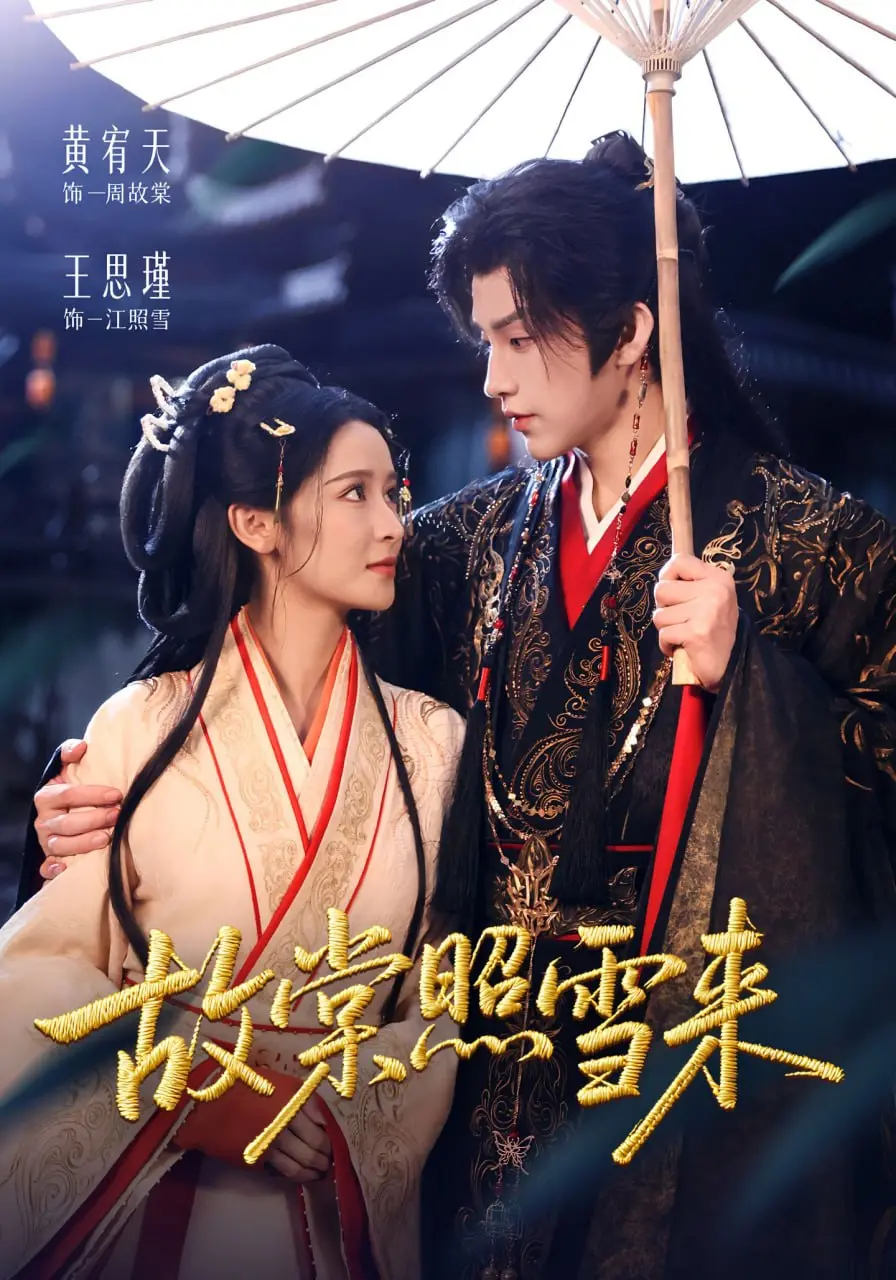 《故棠照雪来》：一场关于爱与救赎的冬日童话，泪点与温暖并存！