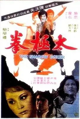 重温经典：《太极拳1974》邵氏功夫片的辉煌与文化传承，深度影评及幕后故事揭秘！
